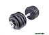 Гантель разборная Central Sport N2 19.5 кг Гантель разборная Central Sport N2 19.5 кг