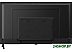 Телевизор BLACKTON Bt 4001B