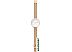 Наручные часы Skagen SKW2688