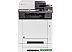 МФУ Triumph-Adler P-C2655w MFP