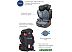 Детское автокресло Rant Master isofix SPS BH2311 (серый)