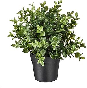Картинка Искусственное растение IKEA Фейка 303.751.77