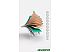 Лонгборд Mindless Surf Skate Green MS1000