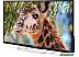 Телевизор Polar Line 32PL54TC-SM