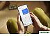 Смартфон Samsung Galaxy S24+ 12GB/256GB SM-S926B Exynos (желтый)