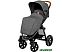 Детская прогулочная коляска Lionelo Annet (темно-серый)