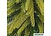 Елочка настольная Erbis Choinka PE 0.4 м (с имитацией под натуральную)