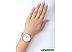 Наручные часы Skagen SKW2688