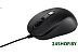 Мышь проводная ASUS MU101C 90XB05RN-BMU000 (черный)