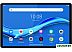 Планшет Lenovo M10 FHD Plus TB-X606X 4GB/128GB LTE (серебристый)