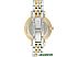 Наручные часы Anne Klein 2159GNTT