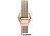 Наручные часы Skagen SKW2837