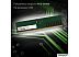 Оперативная память Digma 16ГБ DDR5 4800 МГц DGMAD54800016S