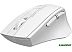 Мышь A4Tech Fstyler FG30 (белый)