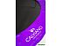 Батут Calviano Inside Master Purple 252 см - 8ft (внутренняя сетка, с лестницей)