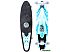 Лонгборд Mindless Raider VI Mint ML2060