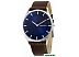 Наручные часы Skagen SKW6237