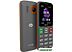 Мобильный телефон DIGMA Linx S240 (серый)