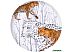 Тарелка десертная Lefard Animal world Леопард 590-412