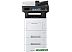 МФУ Triumph-Adler P-5536i MFP
