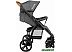Детская прогулочная коляска Lionelo Annet (темно-серый)