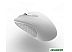 Мышь Canyon MW-7 (белый)