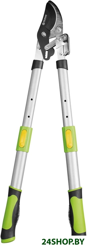 Сучкорез Fieldmann FZNR 1022 Сучкорез Fieldmann FZNR 1022