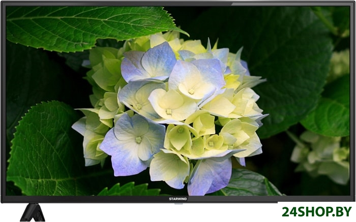 Телевизор StarWind SW-LED43BA201 Телевизор StarWind SW-LED43BA201