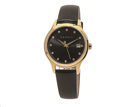 

Наручные часы Esprit ES1L198L0025