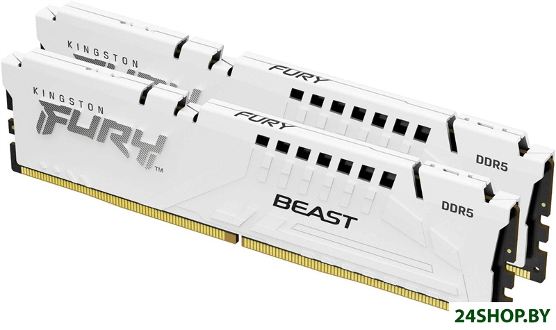 Оперативная память Kingston FURY Beast 2x32ГБ DDR5 6000 МГц KF560C30BWEK2-64 Оперативная память Kingston FURY Beast 2x32ГБ DDR5 6000 МГц KF560C30BWEK2-64