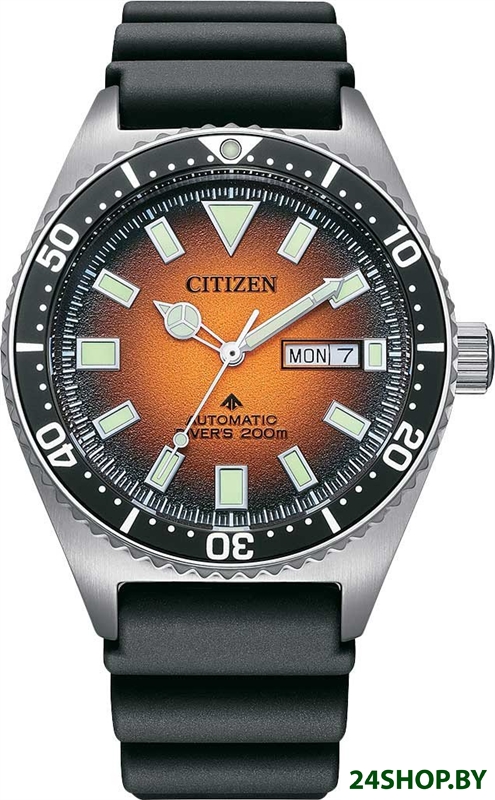 Наручные часы Citizen NY0120-01Z Наручные часы Citizen NY0120-01Z