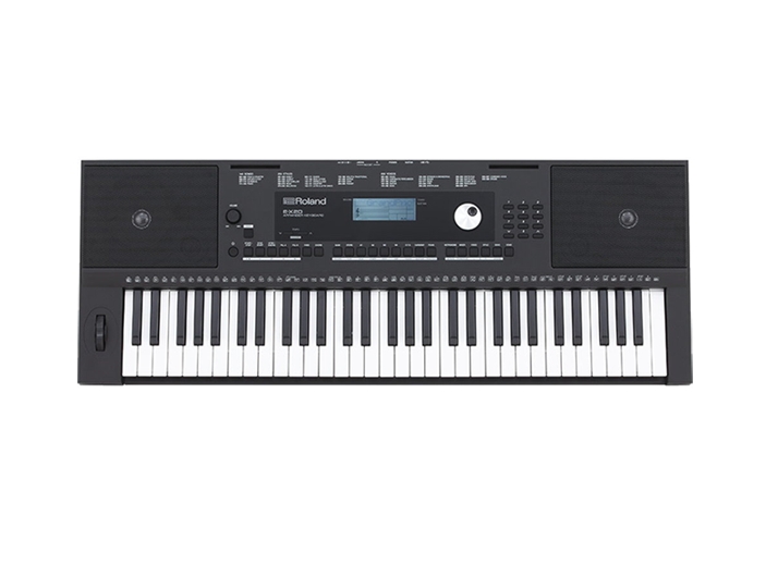 Синтезатор Roland E-X20 Синтезатор Roland E-X20