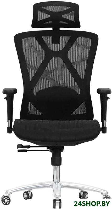 Офисное кресло Evolution Exo F1 Mesh Black (черный) Офисное кресло Evolution Exo F1 Mesh Black (черный)