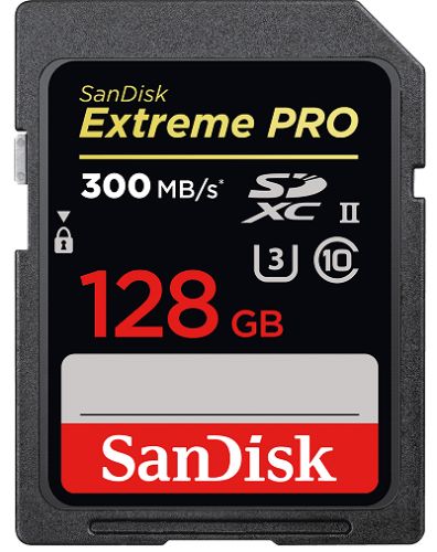 Карта памяти SanDisk Extreme Pro 128Gb (SDSDXPK128G-GN4IN) Карта памяти SanDisk Extreme Pro 128Gb (SDSDXPK128G-GN4IN)
