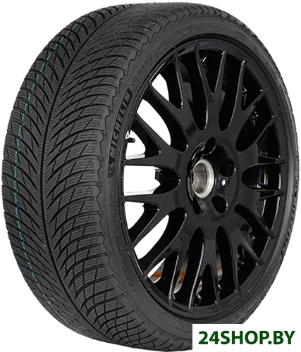 Автомобильные шины Michelin Pilot Alpin 5 285/30R22 101W Автомобильные шины Michelin Pilot Alpin 5 285/30R22 101W