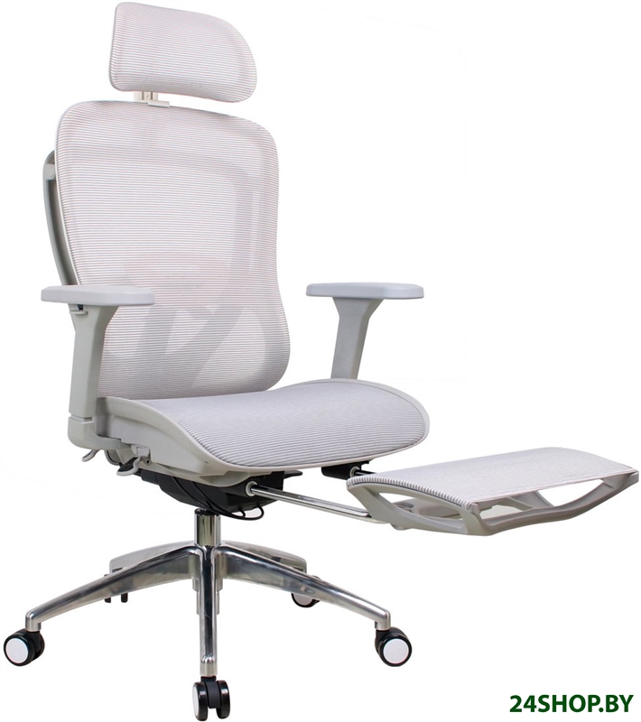 Офисное кресло Evolution Ergo Elite (серый) Офисное кресло Evolution Ergo Elite (серый)