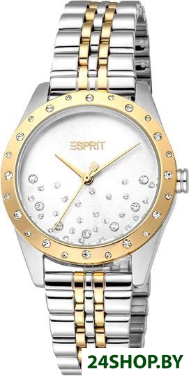 Наручные часы Esprit ES1L405M0065 Наручные часы Esprit ES1L405M0065