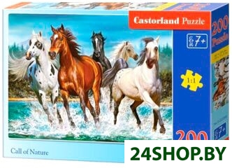 Пазл Castorland Новое поколение Пазл Castorland Новое поколение