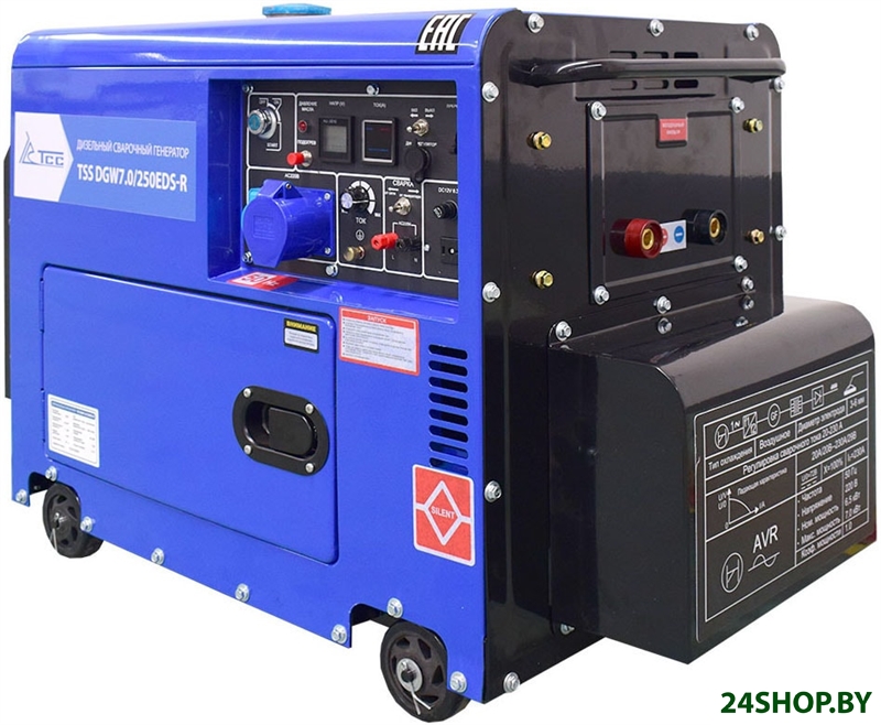 Дизельный генератор ТСС DGW 7.0/250EDS-R в кожухе Дизельный генератор ТСС DGW 7.0/250EDS-R в кожухе