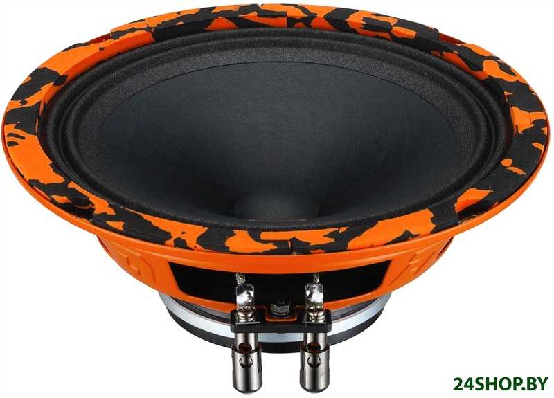 Среднечастотная АС DL Audio Gryphon Pro 165 Neo Среднечастотная АС DL Audio Gryphon Pro 165 Neo