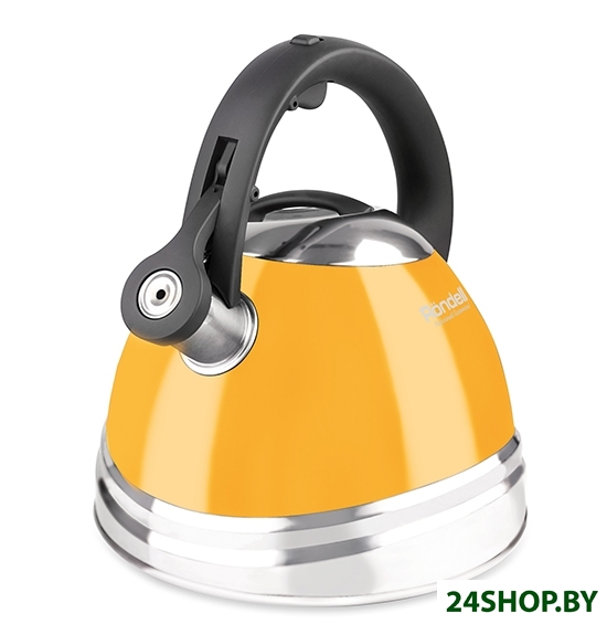 Чайник Rondell Sole RDS-908 Чайник Rondell Sole RDS-908