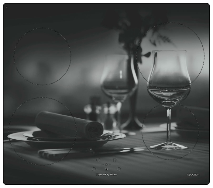 Встраиваемая электрическая варочная панель (поверхность) Zigmund and Shtain CIS 219.60 DX Встраиваемая электрическая варочная панель (поверхность) Zigmund and Shtain CIS 219.60 DX