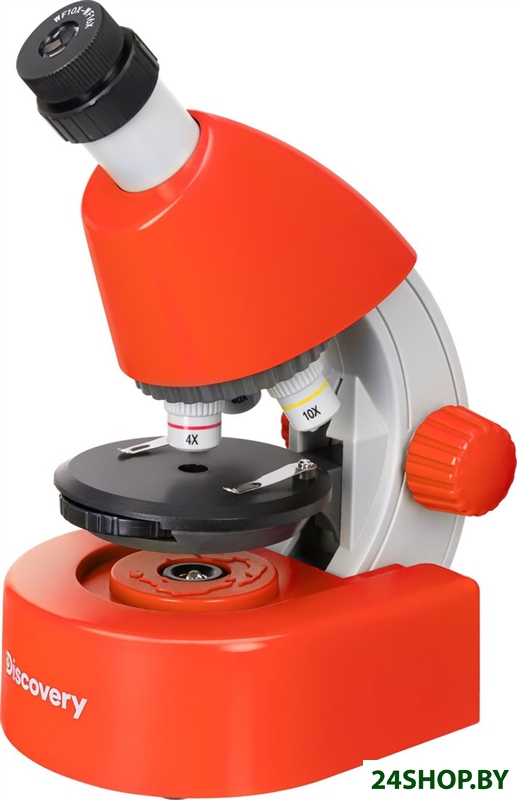 Микроскоп Levenhuk Discovery Micro Terra с книгой 77956 Микроскоп Levenhuk Discovery Micro Terra с книгой 77956