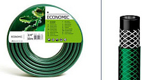 economic1_d
