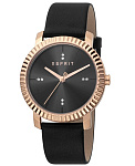 Картинка Наручные часы Esprit ES1L185L0035