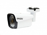 Картинка IP-камера Ginzzu HIB-2302A