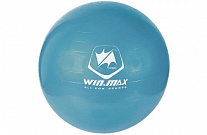 Картинка Мяч WIN.MAX WMF09945D (синий)