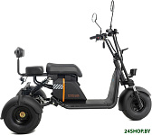 Mini Trike Sport 2024