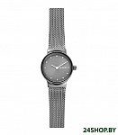 Картинка Наручные часы Skagen SKW2700