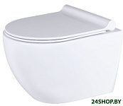 Caneo Rimless с сиденьем микролифт